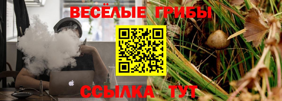 Псилоцибиновые грибы MAGIC MUSHROOMS  где найти наркотики  Углич  Вход с VPN 